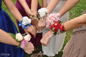 Prom-9822.jpg